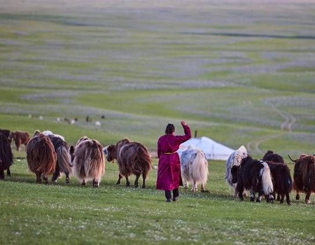 CIRCUIT MONGOLIE TERRE NOMADE - Mongolie, Asie - Image 4