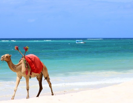 Circuit Regard sur le Kenya, le grand safari et plage de Diani - 3