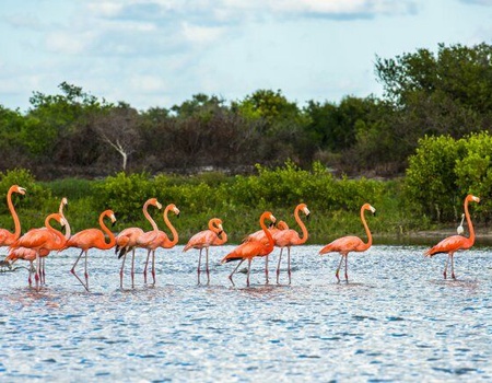 Autotour A La Decouverte Du Yucatan - De Cancun A Cancun - 3
