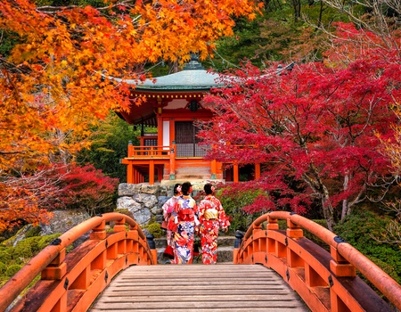Circuit individuel : Le Japon au gré des saisons en 3* ou 4* - 4** - Osaka, Japon - Image 3