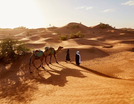 Circuit Le souffle des dunes : voyage à pied au coeur du grand sud