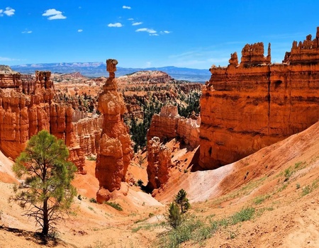 American Ouest + Pré-Tour Universal - 11J/9N - 2026 - 2