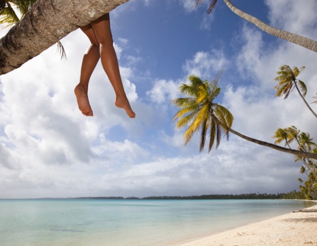 Combiné "Évasion Saintoise" - Guadeloupe/Les Saintes - Pointe à Pitre, Guadeloupe, Antilles - Image 3