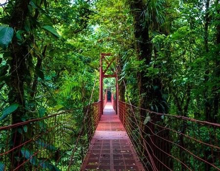 Circuit Découverte du Costa Rica - Extension Parc naturel Rincon de la Vieja - 5