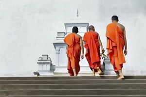 Circuit Privé Ceylan en liberté + séjour Negombo 4* - Sri Lanka - 2