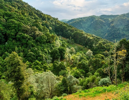 Sur la route du Costa Rica : Manuel Antonio et San Gerardo de Dota - 10J/8N - 2