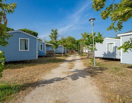 Camping Pineta sul Mare, 3* - 5