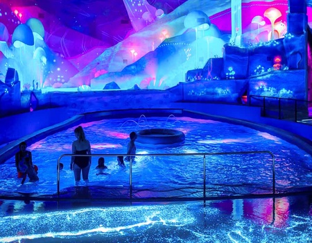 Hôtel Altéora 3* - Hôtel + billets + train - 5