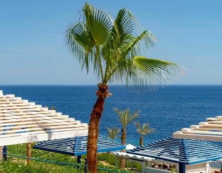 Hôtel Grand Oasis Resort 4* - 3