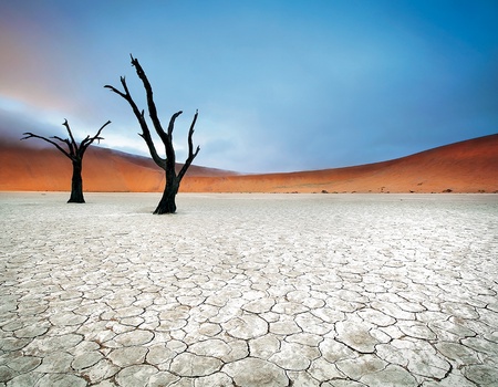 Circuit Trésors d'Afrique australe - 5