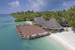 Ceylan Bonheur + séjour Maldives 4* - Sri Lanka - 2