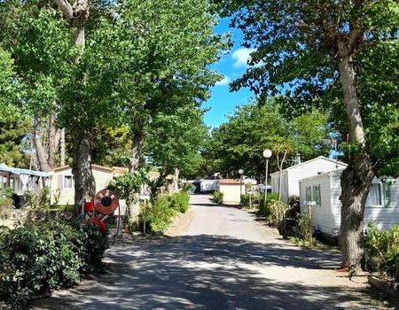 Camping Les Jardins d'Agathe 4* - Maeva - On aime - Hérault - Agde, Languedoc Roussillon - Image 3