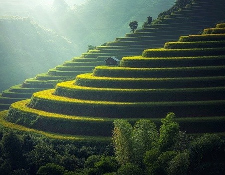 Evasion à Bali - Circuit Privatif - 4