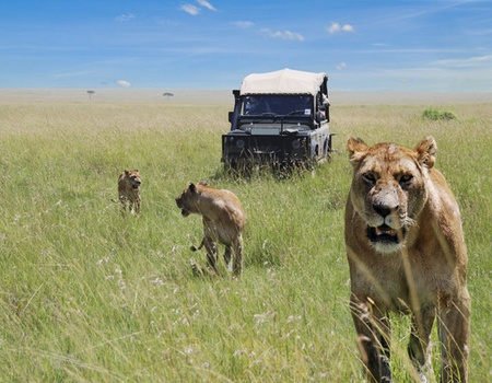 Combiné circuit et Hôtel Neptune Palm Beach Boutique Resort & Spa 4* avec 3 nuits Tsavo Est / Ouest et Amboseli - 3