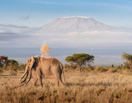 Cicuit Merveilles de Tanzanie - 3