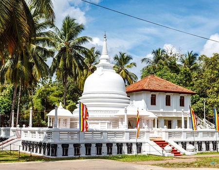 Circuit Secrets du Sri Lanka en petit groupe : culture, plages sauvages et safari 4* - 5