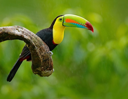 Regard sur le Mexique 12 jours / 10 nuits - 5