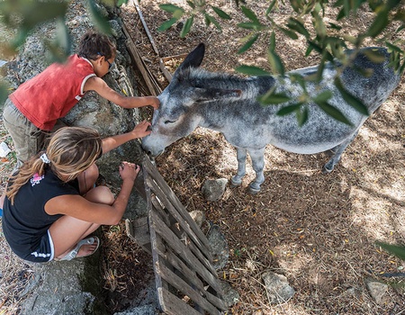 Séjour Corsica, l'île aux enfants à Calvi - France, Corse - Image 1