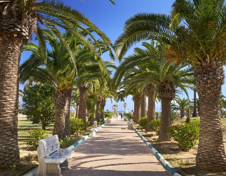 Hôtel Monarque El Fatimi 4* - 4