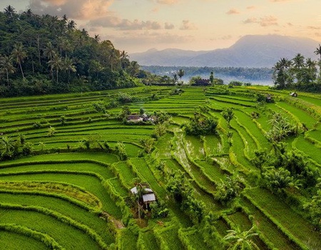 ILES ET VOLCANS D'INDONESIE - 4