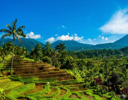 Immersion à Bali en famille - Bali, Indonésie - Image 5