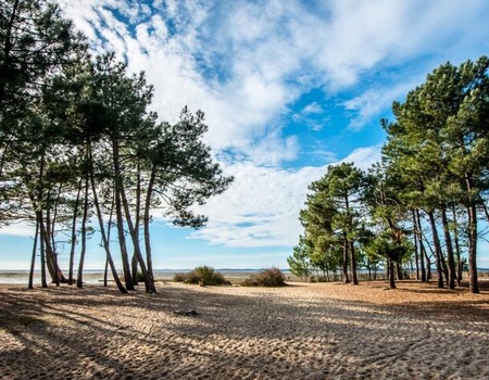 Camping Les Goélands 3* - Maeva - On aime - Gironde - Arès, Atlantique Sud - Image 1