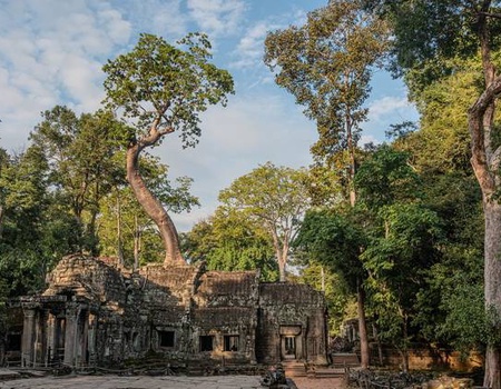 OFFRE SPECIALE - Mémoire du Cambodge - 3