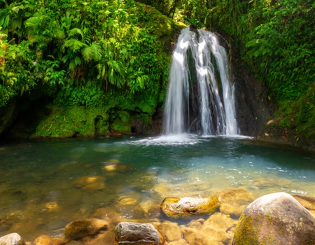 Autotour "Les îles de Guadeloupe" - Pointe à Pitre, Guadeloupe, Antilles - Image 3