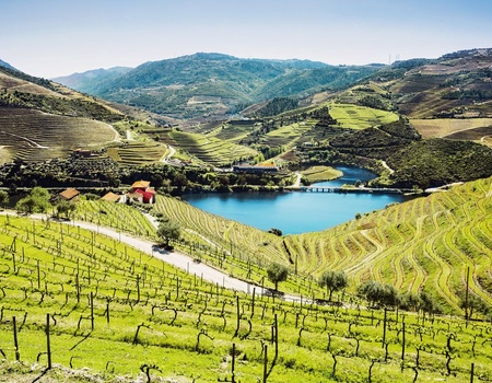 Au Fil Du Douro - MS Queen Isabel - 8J/7N - 25/26 - 4