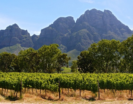 Au coeur de l'Afrique du Sud 10J/7N - 3