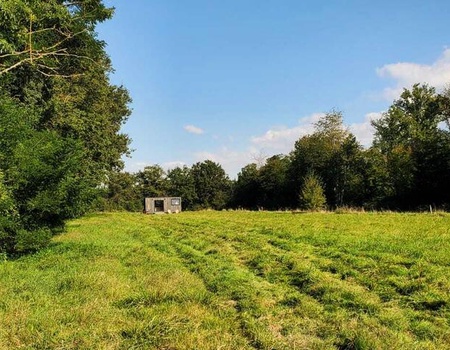 Tiny House : Jardin de Ruban - bordée par les bois - Yonne - Celle-Saint-Cyr, Centre - Image 3