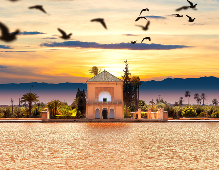 Saveurs du Maroc, Une aventure culinaire et culturelle - 3