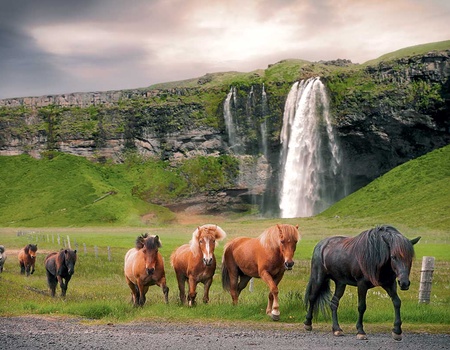 Circuit Magie d'Islande