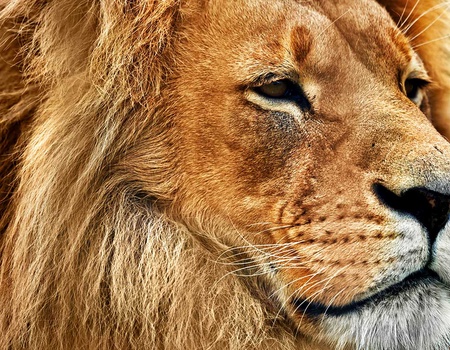 Circuit privé Au pays du Roi Lion - 5