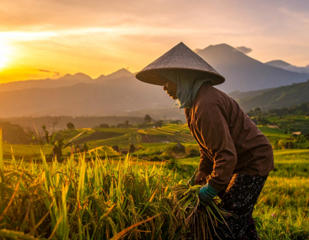 Circuit Féerie Balinaise et Plage Sauvage de l'Ouest en Charme et Privatif 4* - 1