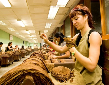 Combiné La Havane/Trinidad Chez l'habitant - Playa Cayo Santa Maria 5* - 5