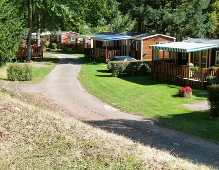 Camping Ile du Rhin - 5