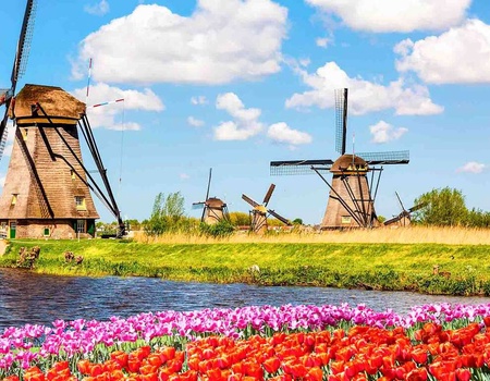 Nuit confortable dans le dynamique Rotterdam avec entrée au Keukenhof - 4* - 1