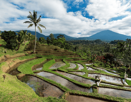 Circuit Secrets et Plage de Bali Sud - 3