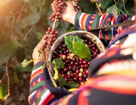 Circuit Visages de la Colombie - Extension Parc Naturel Tayrona - Circuit privé - 2