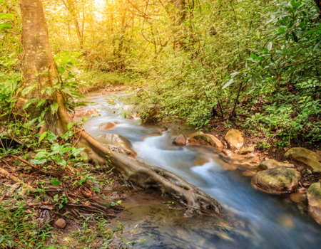 Circuit Autotour entre Océan Pacifique et Mer des Caraïbes - 4
