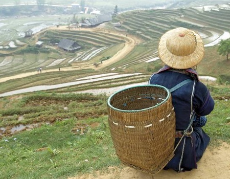 Vietnam Essentiel + prologue Sapa