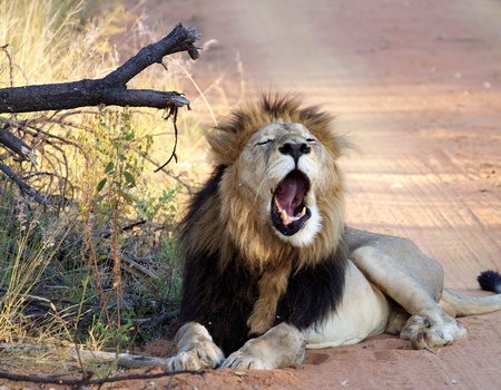 Sur la piste des Zoulous 3* - Afrique Océan Indien, Afrique du Sud, Johannesbourg - Image 1