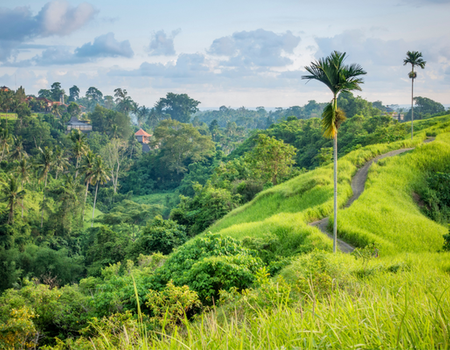 Combiné Jungle et Plage de Bali 4* - 3