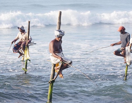 Circuit Sri Lanka, trésors de Ceylan - 5
