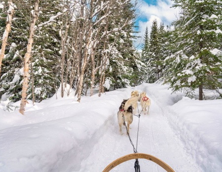 Circuit Aventures dans le Grand Nord Canadien **** - 2