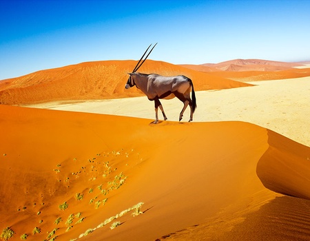 Circuit La Namibie, joyau de l'Afrique australe - 3