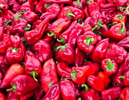 Circuit Echappée Belle d'Istanbul à la Cappadoce - Croisière sur le Bosphore incluse - 3