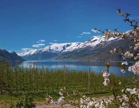 Circuit Grand tour des fjords - 3