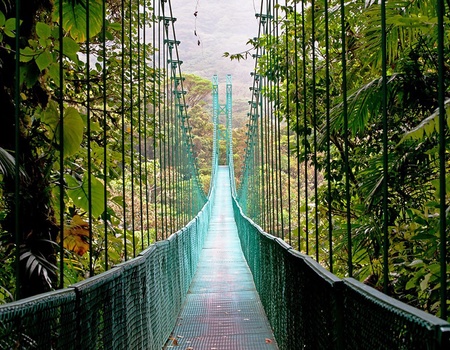 Circuit Les Trésors du Costa Rica 2027 - Image 4